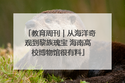 教育周刊｜从海洋奇观到黎族瑰宝 海南高校博物馆很有料