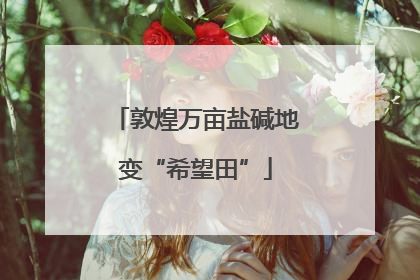 敦煌万亩盐碱地变“希望田”