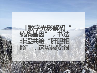 数字光影解码“统战基因”，书法非遗共绘“肝胆相照”，这场展览很有创意！