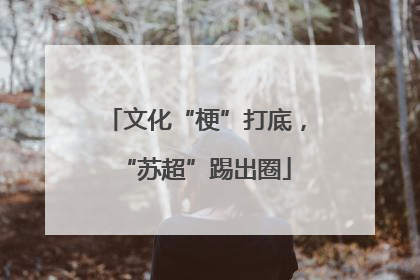 文化“梗”打底，“苏超”踢出圈