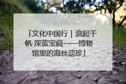 文化中国行｜浪起千帆 深蓝宝藏——博物馆里的海丝遗珍