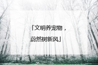 文明养宠物，蔚然树新风