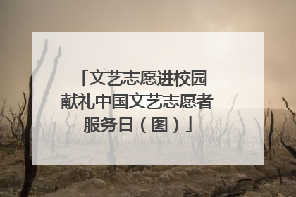 文艺志愿进校园 献礼中国文艺志愿者服务日（图）