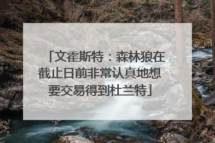 文霍斯特：森林狼在截止日前非常认真地想要交易得到杜兰特