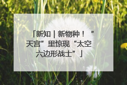 新知｜新物种！“天宫”里惊现“太空六边形战士”