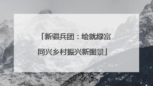 新疆兵团：绘就绿富同兴乡村振兴新图景