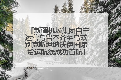 新疆机场集团自主运营乌鲁木齐至乌兹别克斯坦纳沃伊国际货运航线成功首航