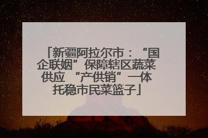 新疆阿拉尔市：“国企联姻”保障辖区蔬菜供应 “产供销”一体托稳市民菜篮子
