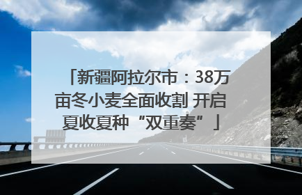 新疆阿拉尔市：38万亩冬小麦全面收割 开启夏收夏种“双重奏”