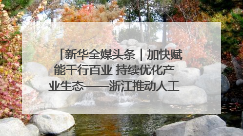 新华全媒头条｜加快赋能千行百业 持续优化产业生态——浙江推动人工智能健康有序发展观察
