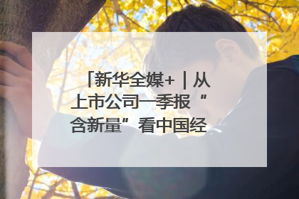 新华全媒+｜从上市公司一季报“含新量”看中国经济发展向“新”