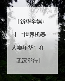 新华全媒+丨“世界机器人嘉年华”在武汉举行