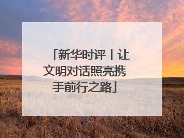 新华时评丨让文明对话照亮携手前行之路