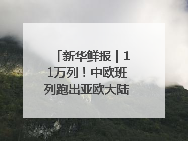 新华鲜报｜11万列！中欧班列跑出亚欧大陆“新时速”