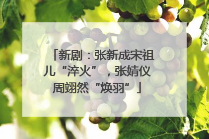新剧：张新成宋祖儿“淬火”，张婧仪周翊然“焕羽”