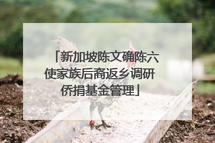 新加坡陈文确陈六使家族后裔返乡调研侨捐基金管理