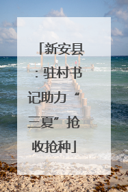 新安县：驻村书记助力“三夏”抢收抢种