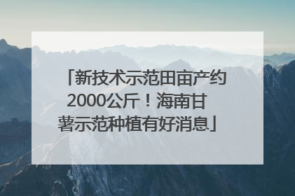 新技术示范田亩产约2000公斤！海南甘薯示范种植有好消息