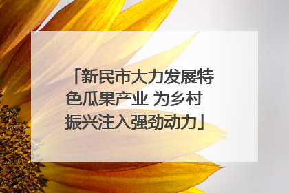 新民市大力发展特色瓜果产业 为乡村振兴注入强劲动力