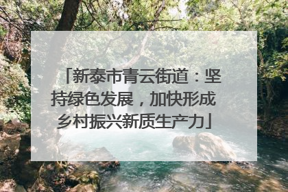 新泰市青云街道：坚持绿色发展，加快形成乡村振兴新质生产力