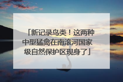 新记录鸟类！这两种中型猛禽在南滚河国家级自然保护区现身了