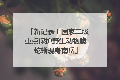 新记录！国家二级重点保护野生动物脆蛇蜥现身南岳