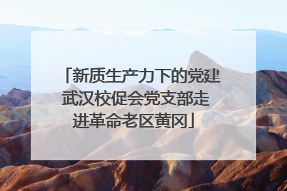 新质生产力下的党建 武汉校促会党支部走进革命老区黄冈