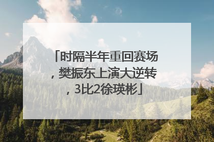 时隔半年重回赛场，樊振东上演大逆转，3比2徐瑛彬