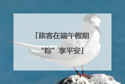 旅客在端午假期“粽”享平安