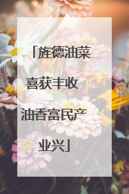 旌德油菜喜获丰收 油香富民产业兴