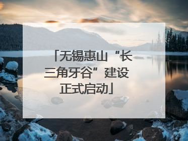 无锡惠山“长三角牙谷”建设正式启动