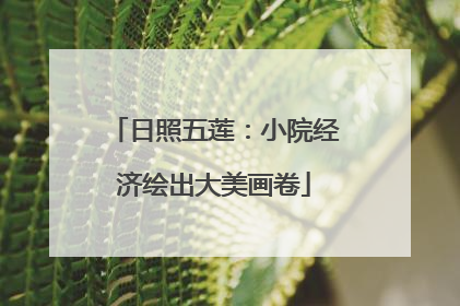 日照五莲：小院经济绘出大美画卷