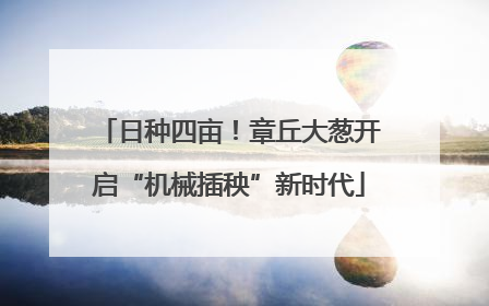 日种四亩！章丘大葱开启“机械插秧”新时代