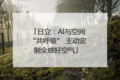 日立：AI与空间“共呼吸” 主动定制全感好空气