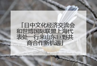 日中文化经济交流会和世博国际联盟上海代表处一行来山东巨野共商合作新机遇