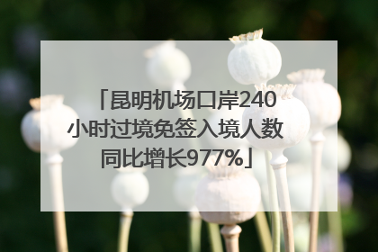 昆明机场口岸240小时过境免签入境人数同比增长977%