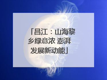 昌江：山海黎乡绿意浓 澎湃发展新动能