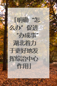 明确“怎么办”促进“办成事” 湖北着力于更好地发挥综治中心作用