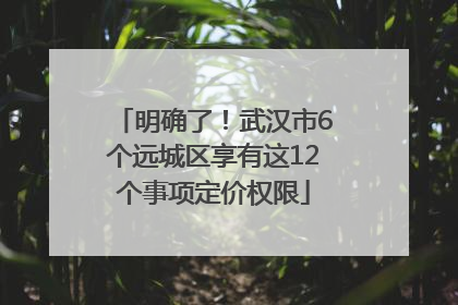 明确了！武汉市6个远城区享有这12个事项定价权限