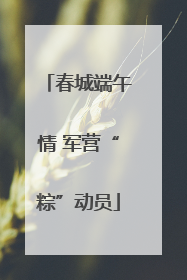 春城端午情 军营“粽”动员