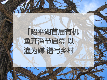 昭平湖首届有机鱼开渔节启幕 以渔为媒 谱写乡村振兴新篇章