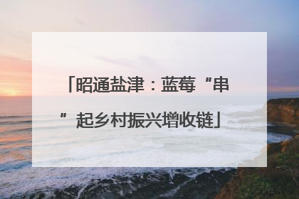 昭通盐津：蓝莓“串”起乡村振兴增收链