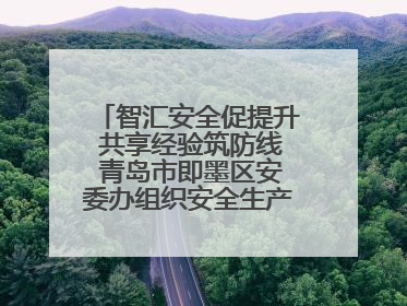 智汇安全促提升 共享经验筑防线 青岛市即墨区安委办组织安全生产共享专家现场观摩学习活动