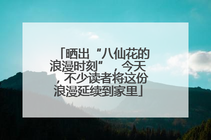 晒出“八仙花的浪漫时刻”，今天，不少读者将这份浪漫延续到家里