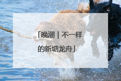 晚潮｜不一样的新塘龙舟