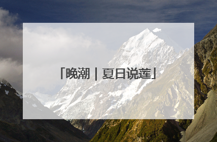 晚潮｜夏日说莲