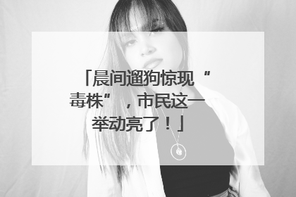 晨间遛狗惊现“毒株”，市民这一举动亮了！