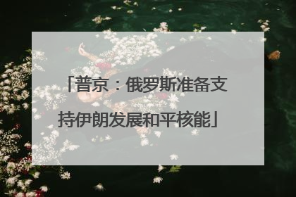 普京：俄罗斯准备支持伊朗发展和平核能