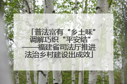 普法富有“乡土味” 调解巧织“平安结”——福建省司法厅推进法治乡村建设出成效