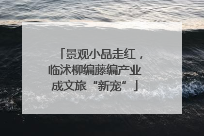 景观小品走红，临沭柳编藤编产业成文旅“新宠”